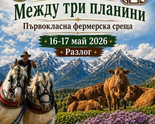 Третото издание на изложението Между три планини под пълна пара в подготовката
