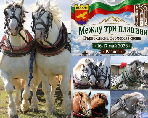 10 000 евро награден фонд за турнира с тежковозни коне край Разлог и Банско