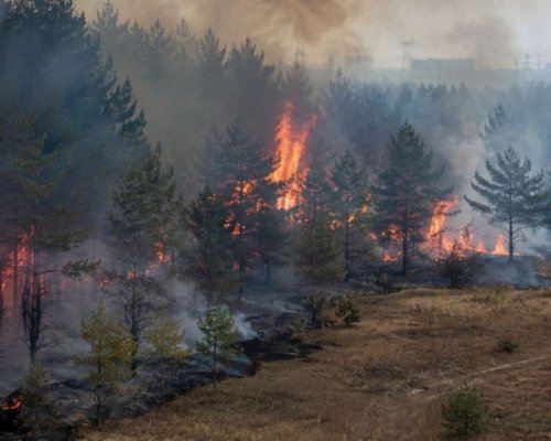 Голям пожар в Чернобил! Горят 1100 хектара гора в радиоактивната зона