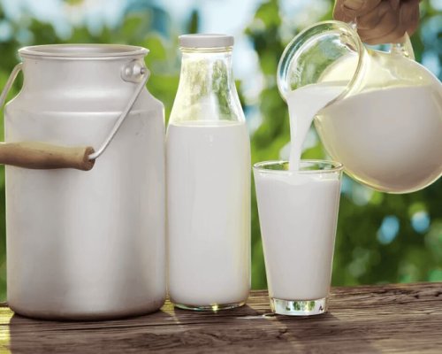 Животновъди пред фалит: Млякото се изкупува за 0,30 евро от фермите