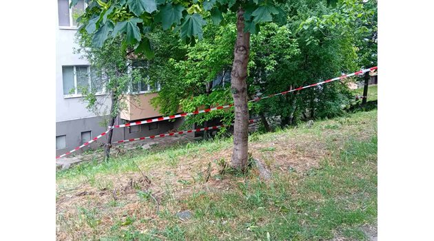 Обвиниха 20-годишен за смъртта на момичето от Благоевград