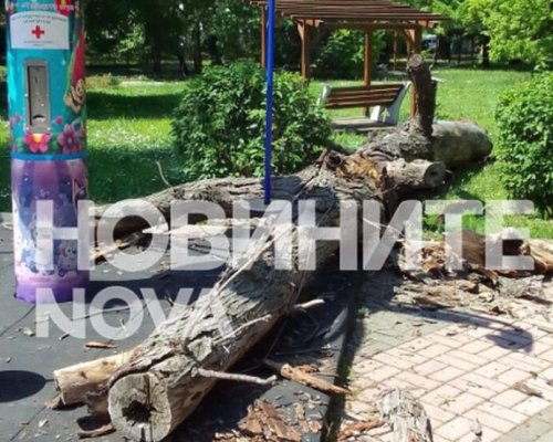 Инцидент в Чирпан: сухо дърво рухна върху въртележка с дете