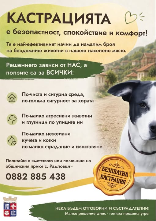 Продължава кампанията за безплатна кастрация на домашни кучета и котки в Кюстендил