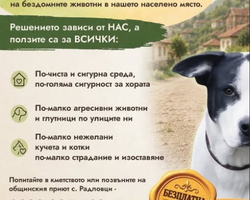 Продължава кампанията за безплатна кастрация на домашни кучета и котки в Кюстендил