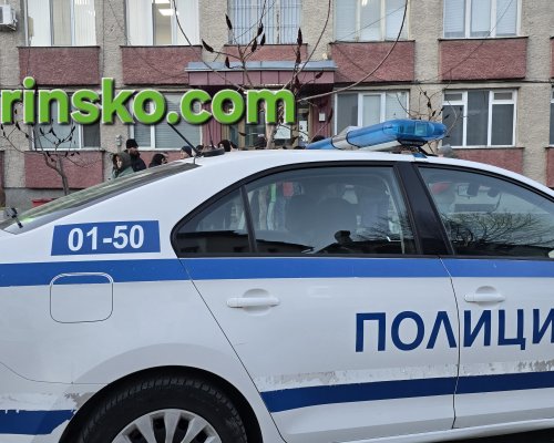 Трагичен инцидент край Гоце Делчев: Дървосекач загина в района на Попови ливади