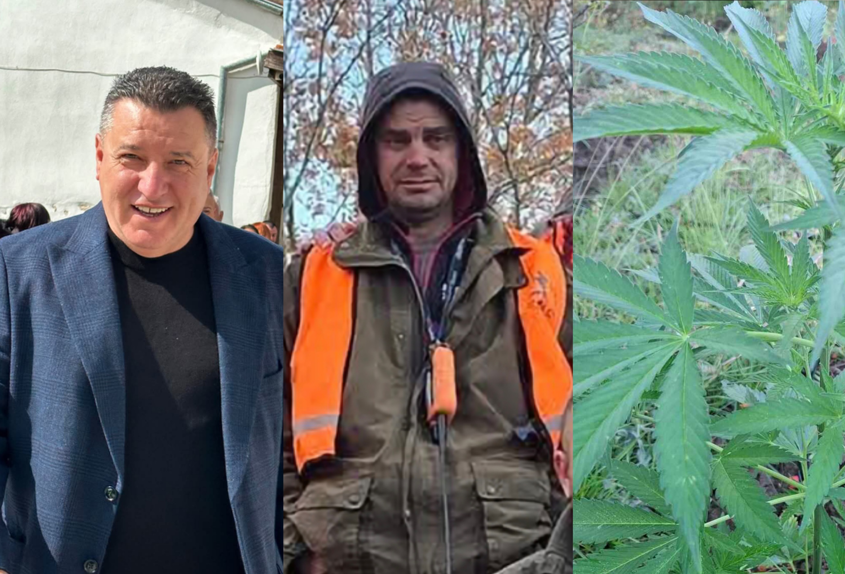 Ченгетата арестуваха дясната ръка на депутат от ГЕРБ в Сандански на нива с канабис Ченгетата арестуваха дясната ръка на депутат от ГЕРБ в Сандански на нива с канабис