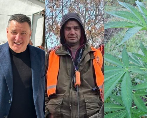 Ченгетата арестуваха дясната ръка на депутат от ГЕРБ в Сандански на нива с канабис