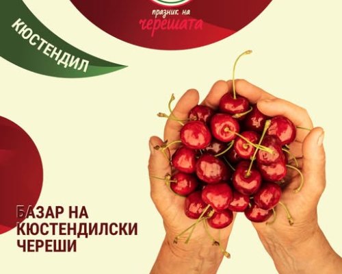 Сладко лято: Базар на кюстендилските череши събира вкус, аромат и традиции на едно място