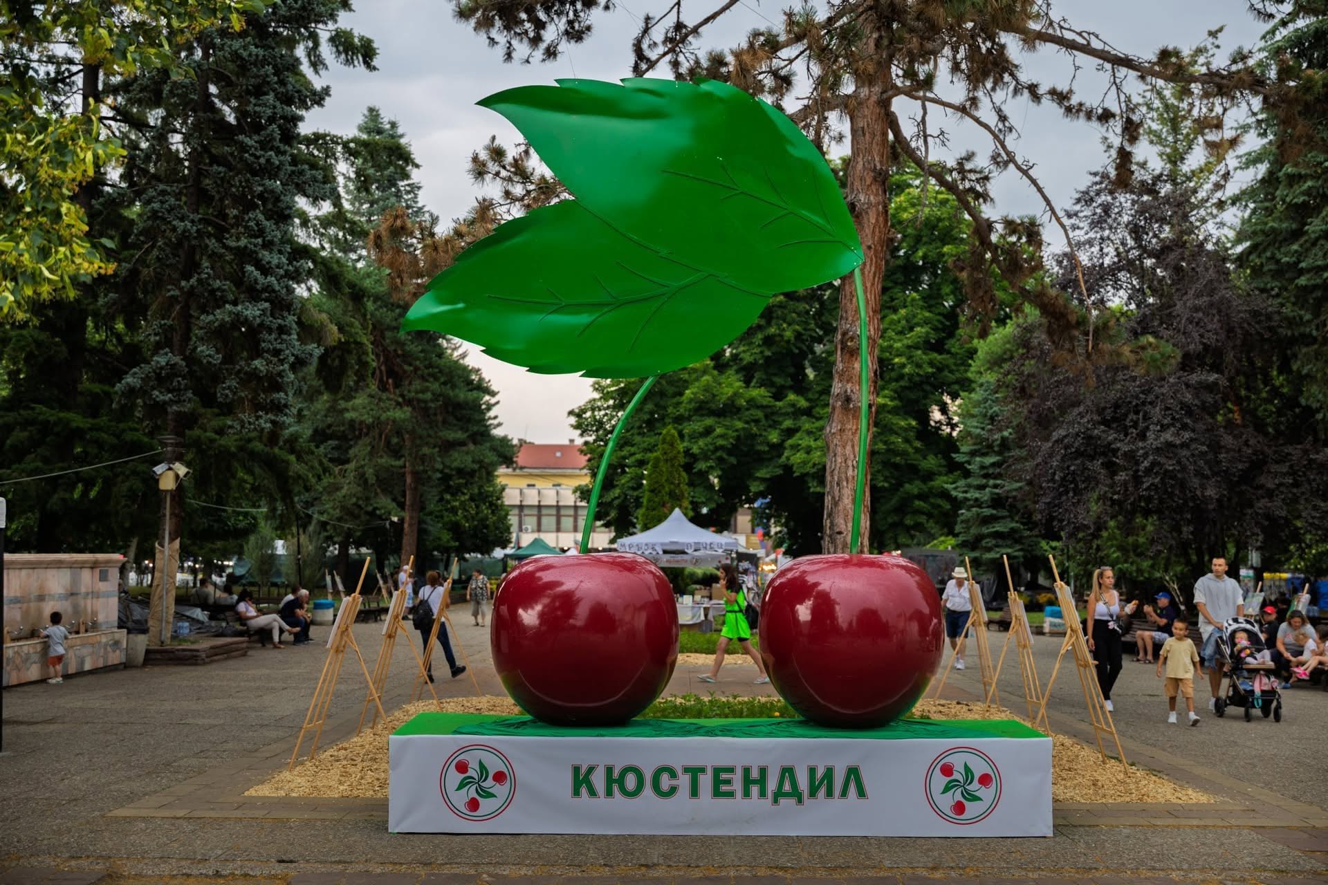 Най-сладкият празник на лятото: Кюстендил отново е столица на черешата - музика, забавления и вкусни изненади