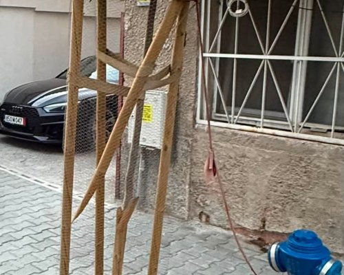 Благоевград става все по-зелен: Стотици нови дървета се прихващат успешно