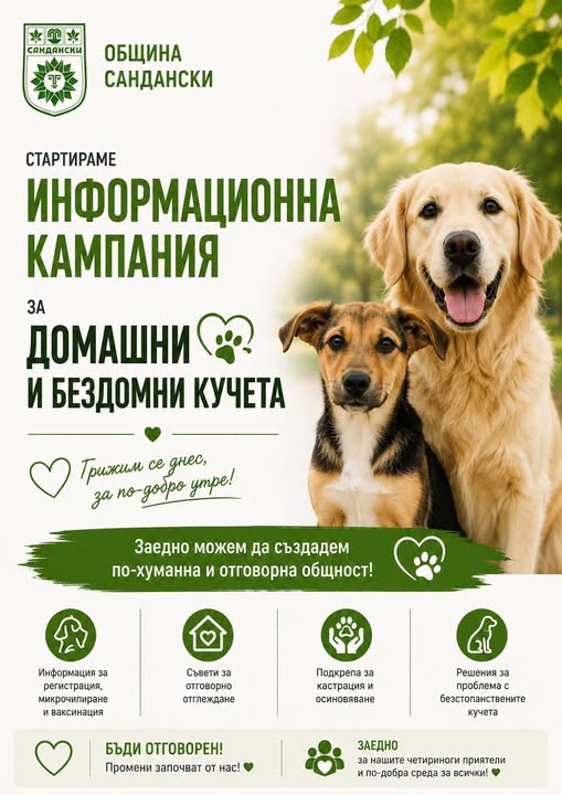 Община Сандански стартира информационна кампания за домашни и безстопанствени кучета