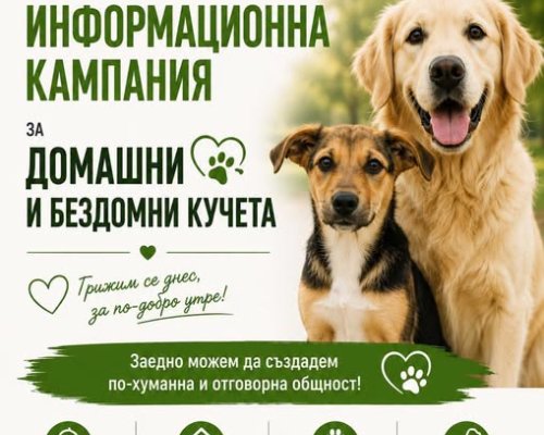 Община Сандански стартира информационна кампания за домашни и безстопанствени кучета
