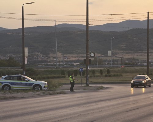 Разбиха канабисова нива край Петрич, задържан е и мъж с хероин в Благоевград