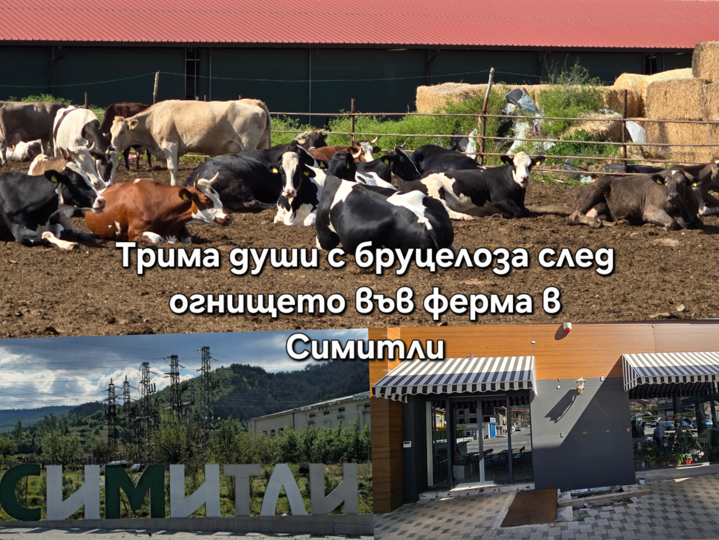 След огнището на бруцелоза в Симитли: БАБХ обяви пред Pirinsko.com какви мерки са предприети След огнището на бруцелоза в Симитли: БАБХ обяви пред Pirinsko.com какви мерки са предприети