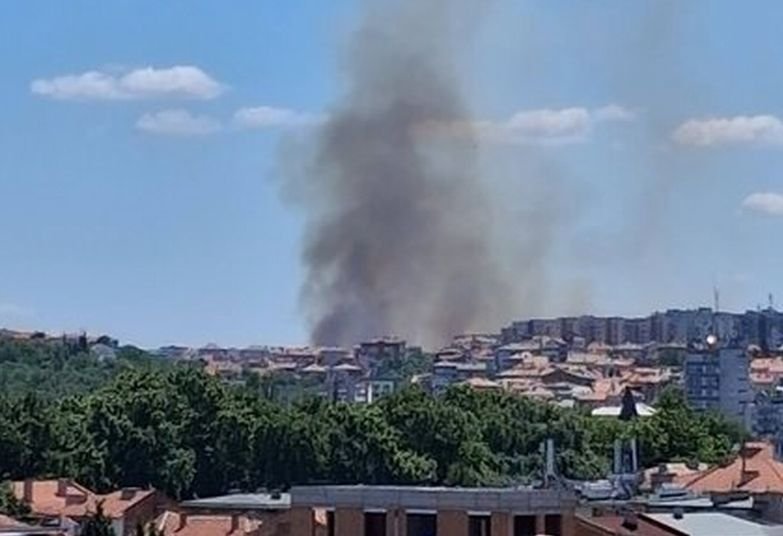 Пожар бушува край Асеновград, затвориха пътя за Кърджали Пожар бушува край Асеновград, затвориха пътя за Кърджали