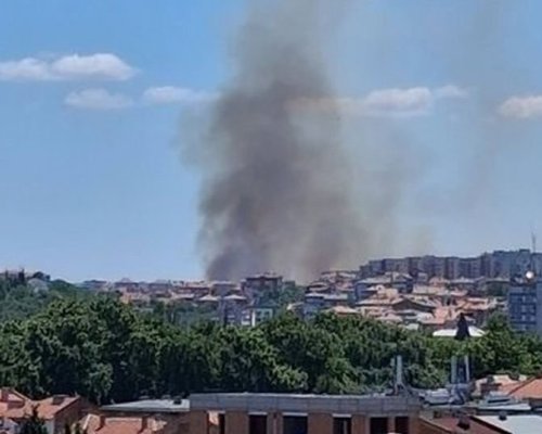 Пожар бушува край Асеновград, затвориха пътя за Кърджали