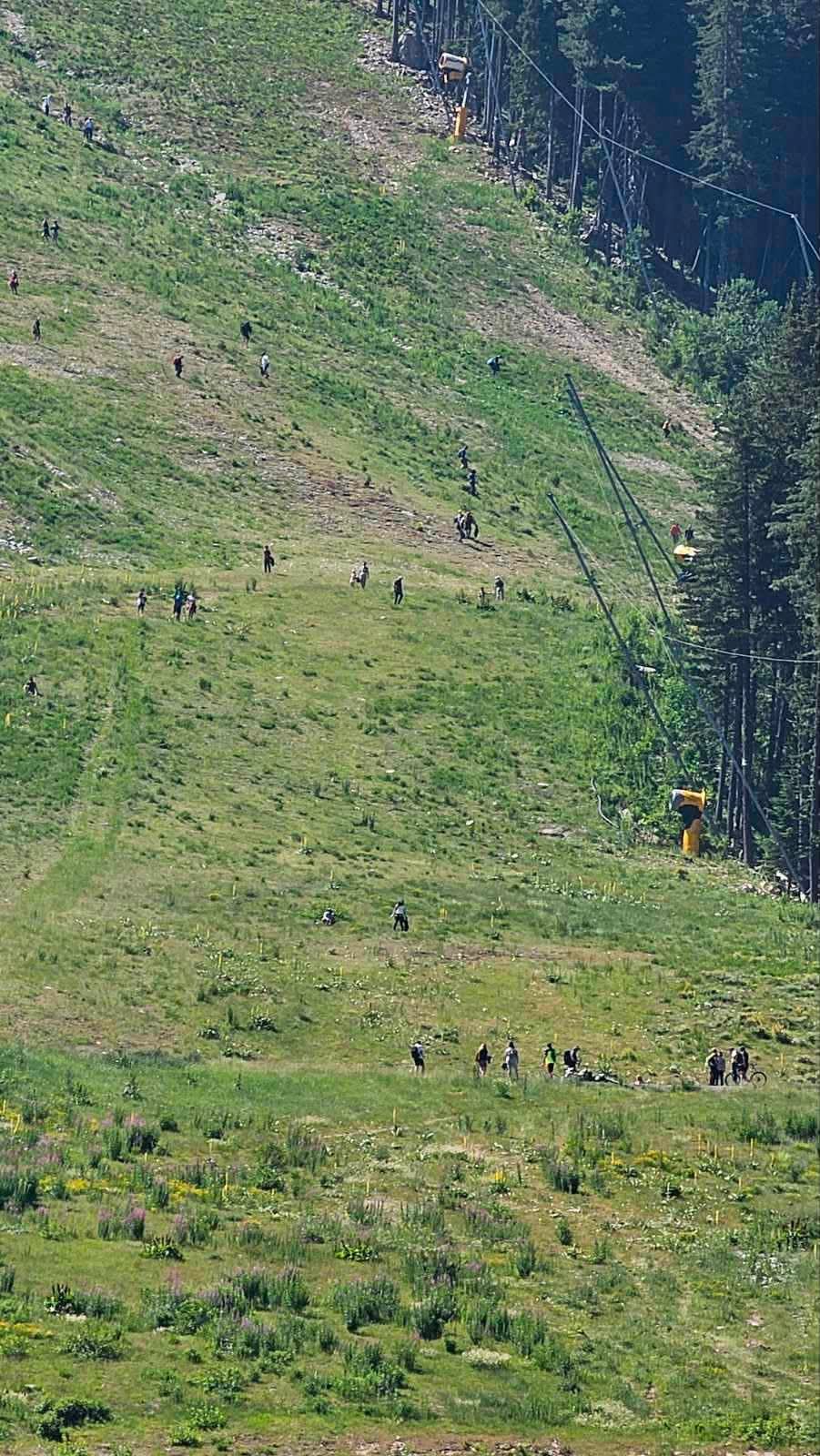 Над 500 доброволци почистиха Пирин: Банско съчета грижа за природата с поклон пред героите на Илинден