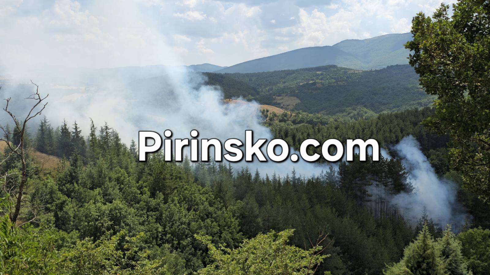 Гори борова гора край язовира на Логодаж Гори борова гора край язовира на Логодаж