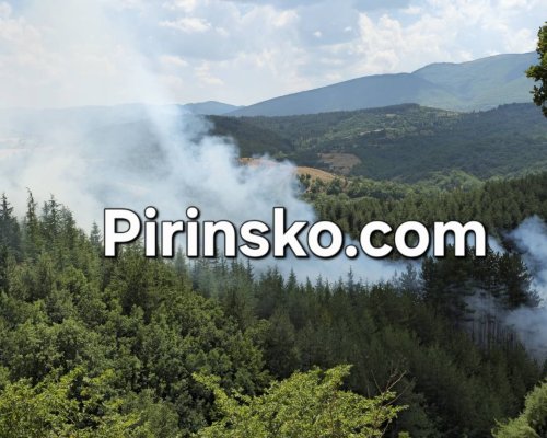 Гори борова гора край язовира на Логодаж