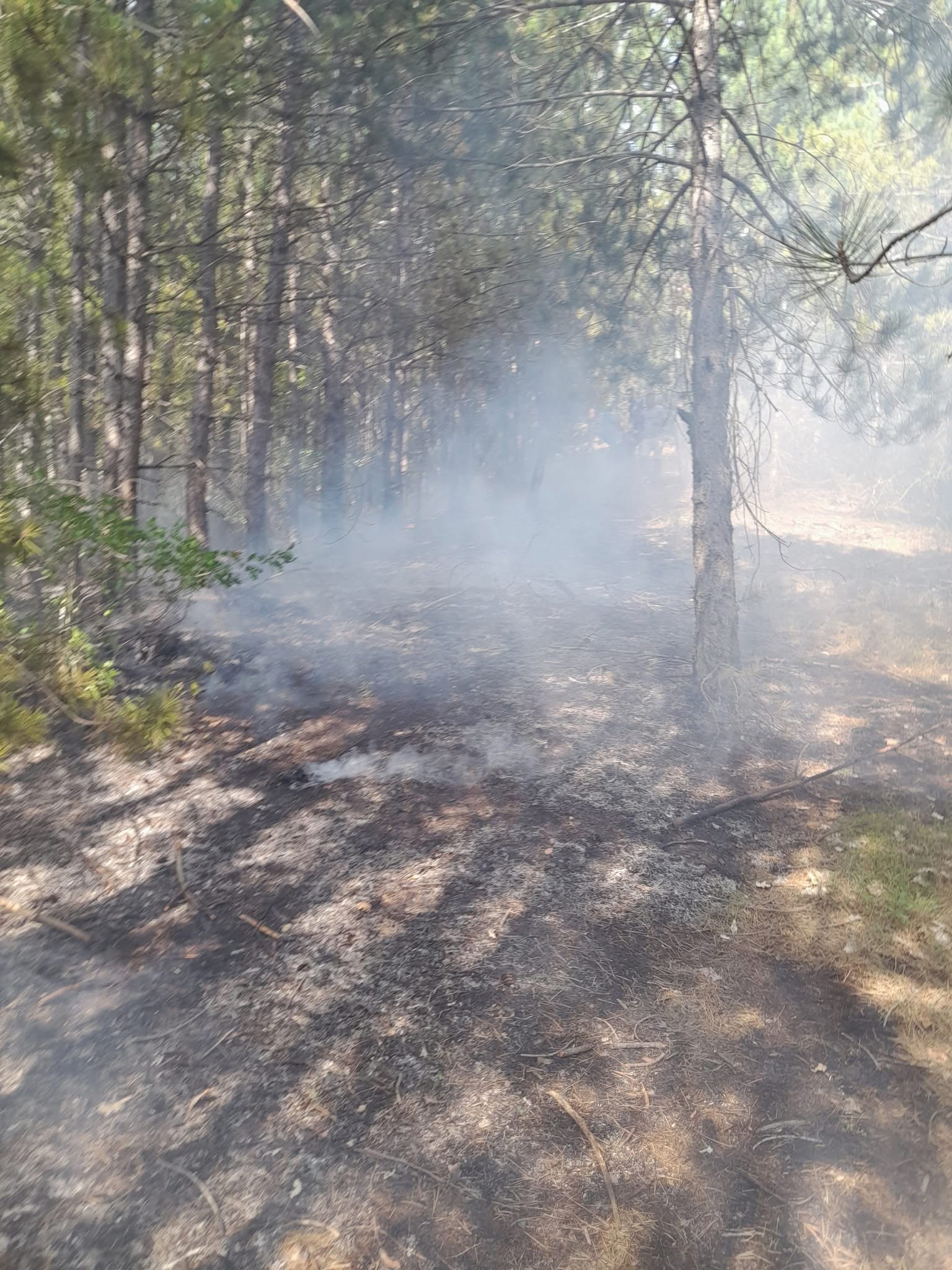 Пожар избухна в гората над село Краище Пожар избухна в гората над село Краище
