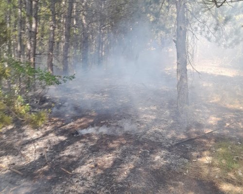 Пожар избухна в гората над село Краище