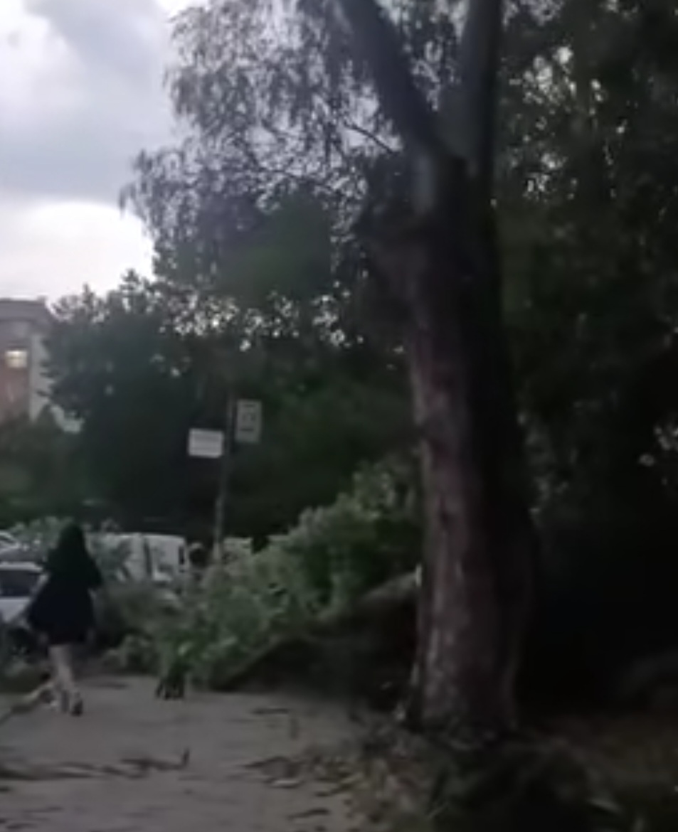 Буря със силен вятър и гръмотевици връхлетя Благоевград
