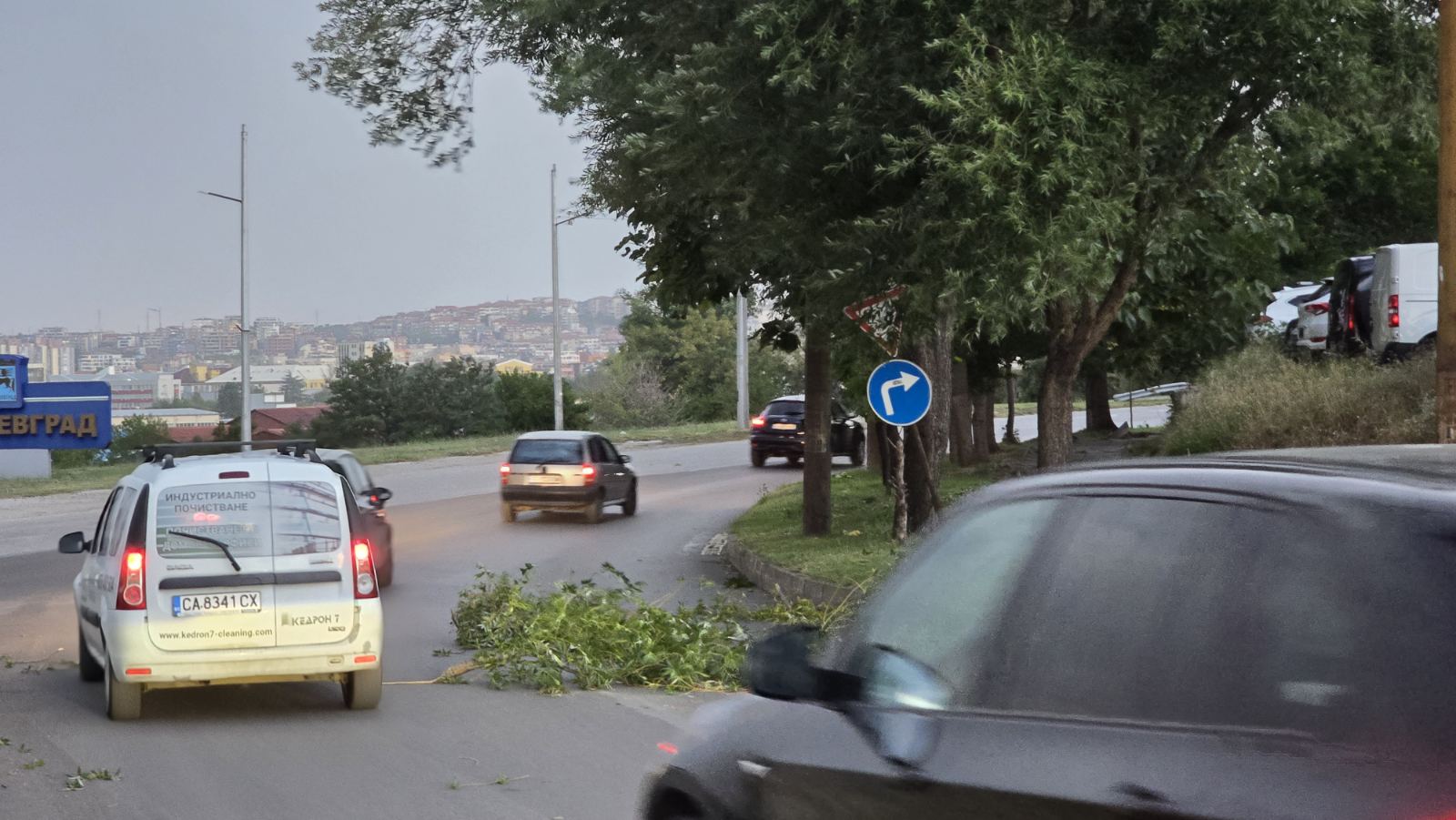 Буря със силен вятър и гръмотевици връхлетя Благоевград Буря със силен вятър и гръмотевици връхлетя Благоевград