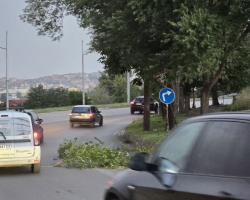 Буря със силен вятър и гръмотевици връхлетя Благоевград