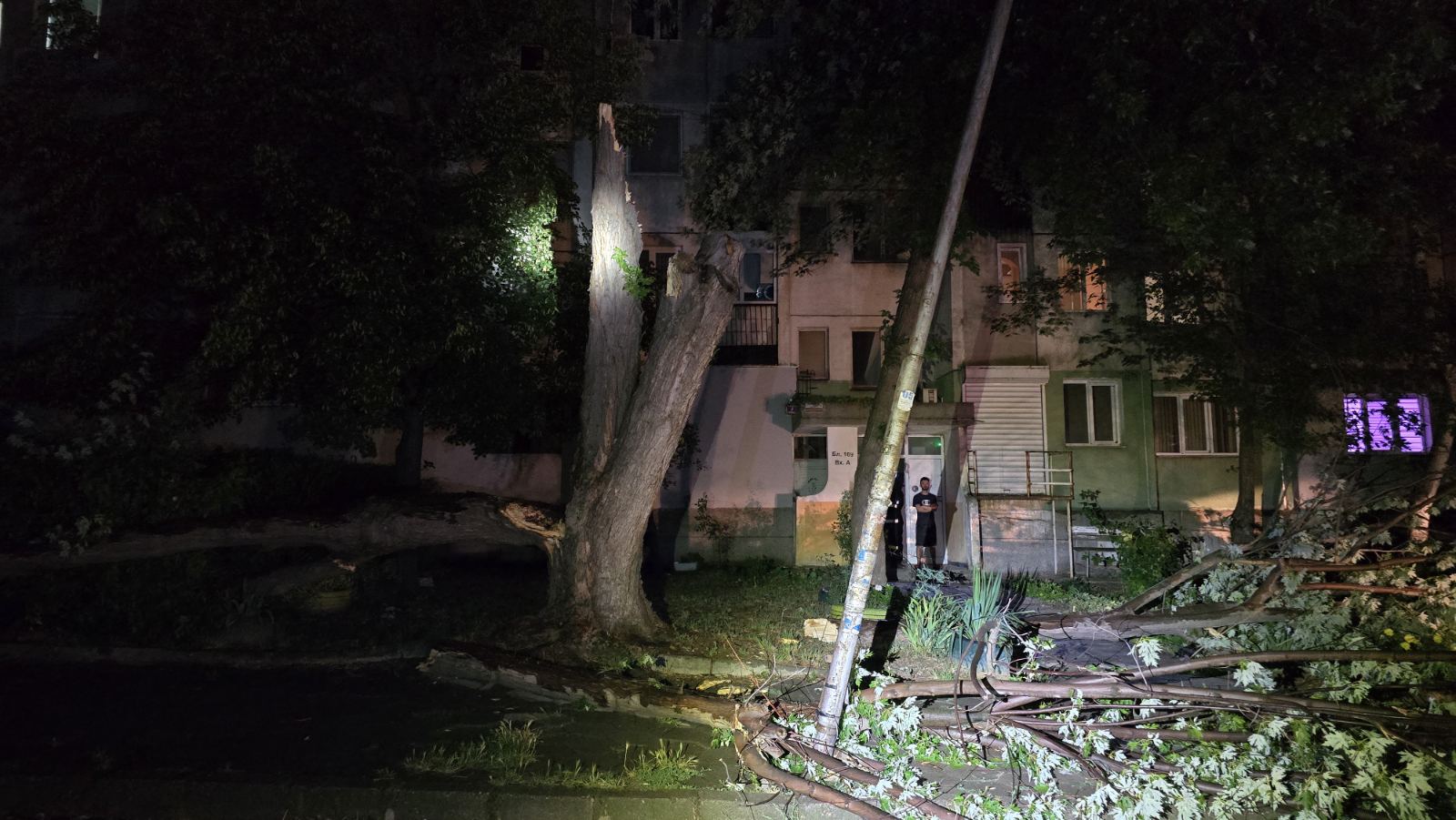 Огромно дърво падна върху лампа в ж.к. Еленово в Благоевград , след бурята
