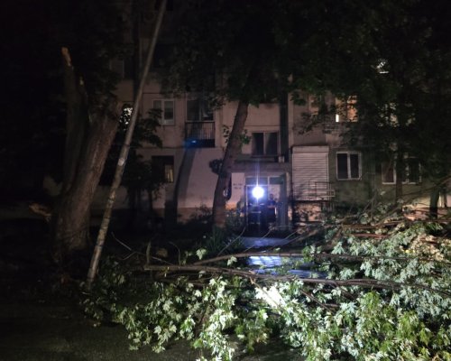 Огромно дърво падна върху лампа в ж.к.  Еленово  в Благоевград , след бурята