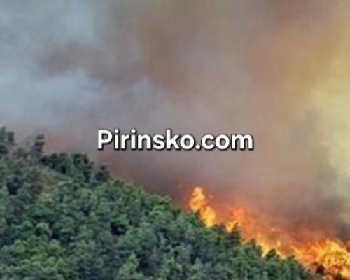 Екипи се борят с пожар в Пирин: Гасят горящ клек над Пирин Голф край Разлог