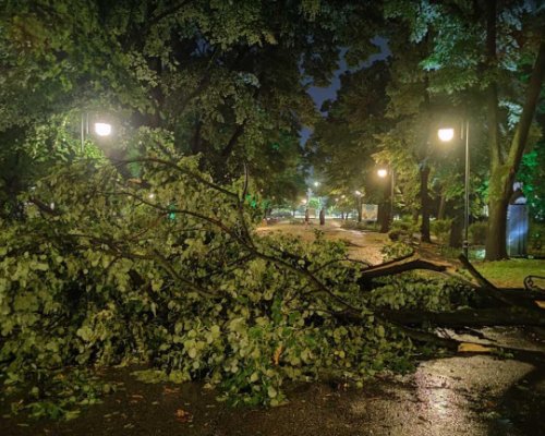 Силна буря причини щети в Петрич