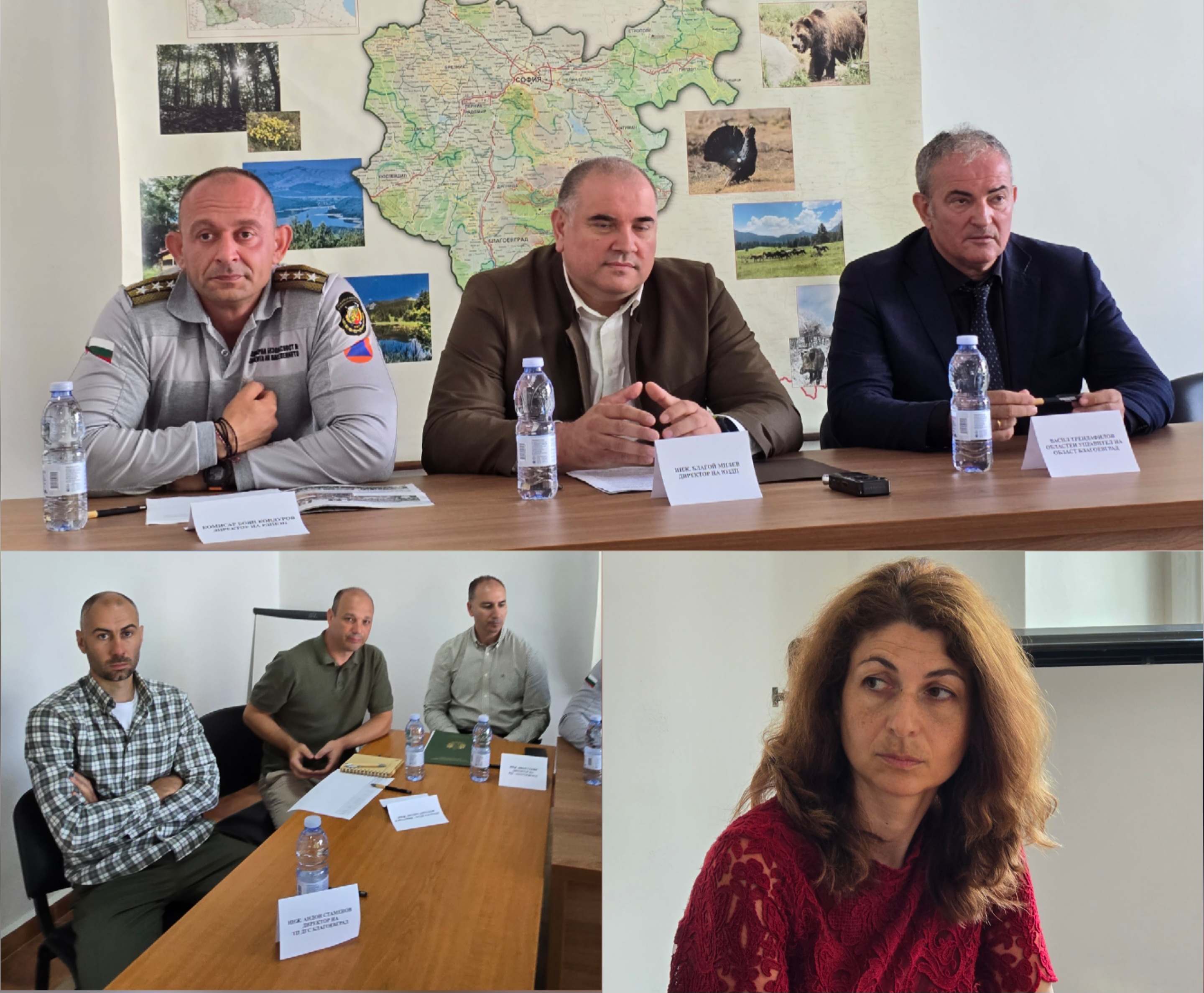 408 декара горски територии засегнати от пожари в ЮЗДП, институциите засилват превенцията