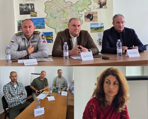 408 декара горски територии засегнати от пожари в ЮЗДП, институциите засилват превенцията