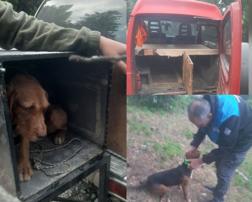 Санкционираха лице за безпокоене на диви животни в Национален парк  Рила