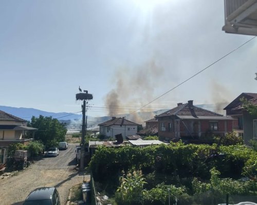 Пожар между селата Кърналово и Михнево