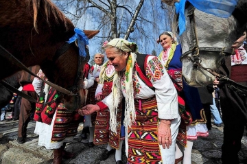 Конете са толкова умни, че разчитат израженията на лицата ни