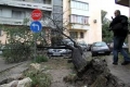 Ураганният вятър нанесе значителни щети в Пиринско