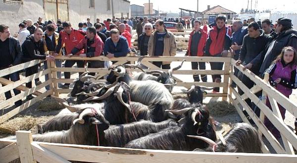 За пета поредна година община Кресна ще бъде домакин на  Пролетен празник на животновъдството и земеделието - 2016”