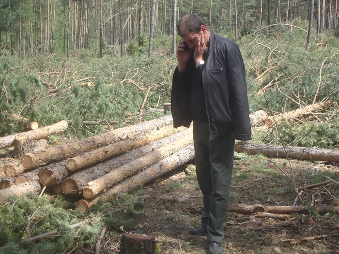 Нов скандал тресе ДГС-Разлог! Горският стражар Георги Алуминов предупреждавал със SMS, Кой, кога и къде може да реже дървен материал в гората край Разлог снимка 1