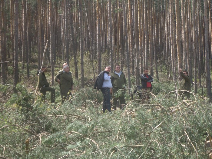 Нов скандал тресе ДГС-Разлог! Горският стражар Георги Алуминов предупреждавал със SMS, Кой, кога и къде може да реже дървен материал в гората край Разлог