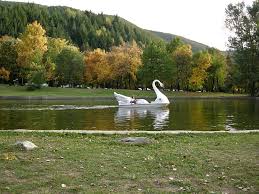 Пускат нови 60 патици в езерото на парк  Бачиново  в Благоевград