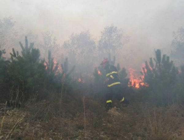 Пожар на входа на Благоевград в района на разклона за село Бело поле вдигна на крак огнеборците