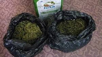 Полицейска акция! РУП-Петрич откри и иззе 4.5 кг. канабис в Дърводелски цех