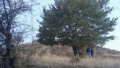 52-годишен мъж от Сандански е открит обесен на дърво в село Поленица