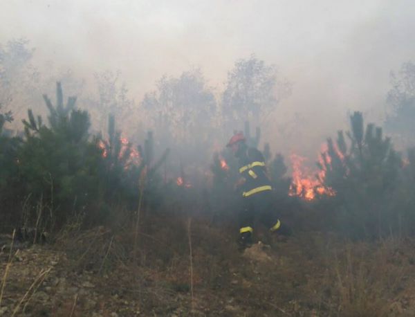 Все още не е локализиран пожарът край село Плоски, община Сандански, но няма опасност за населеното място