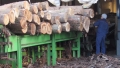 Дървопреработващи фирми въвеждат електронен дневник от 1 януари