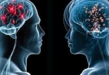 Учени откриха любопитни факти за работата на мъжкия и женския мозък