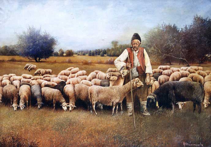 Дават заплата 1000 лв за професията овчар у нас, но никои не иска тази работа!