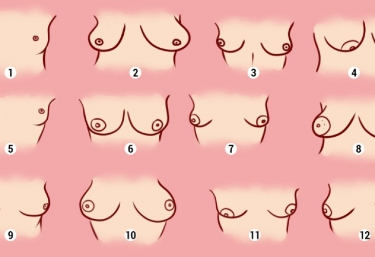 Формата на женските гърди издава характера на стопанката им